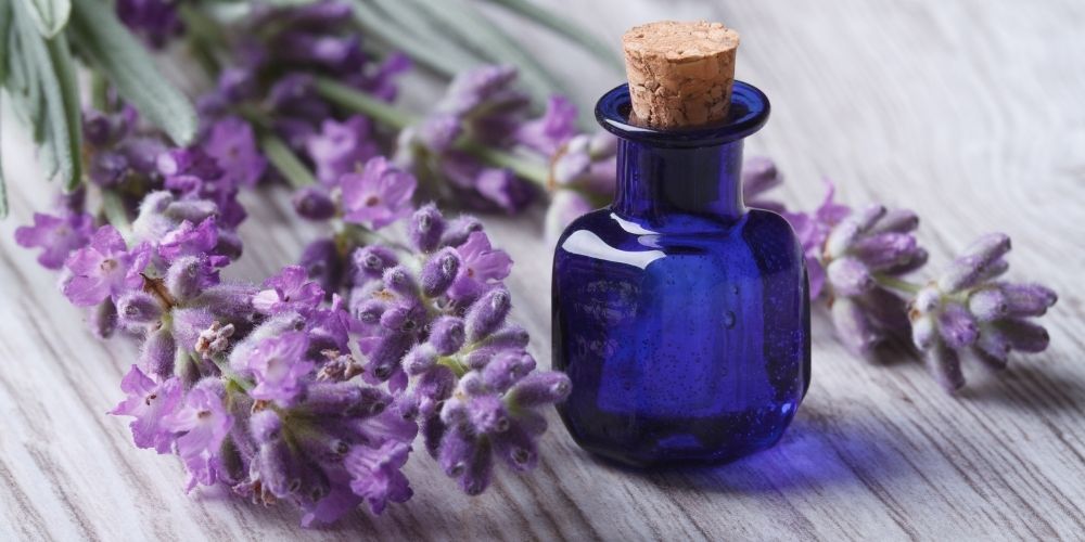 Olejová kúra pro růst vlasů Olejová kúra pro růst vlasů