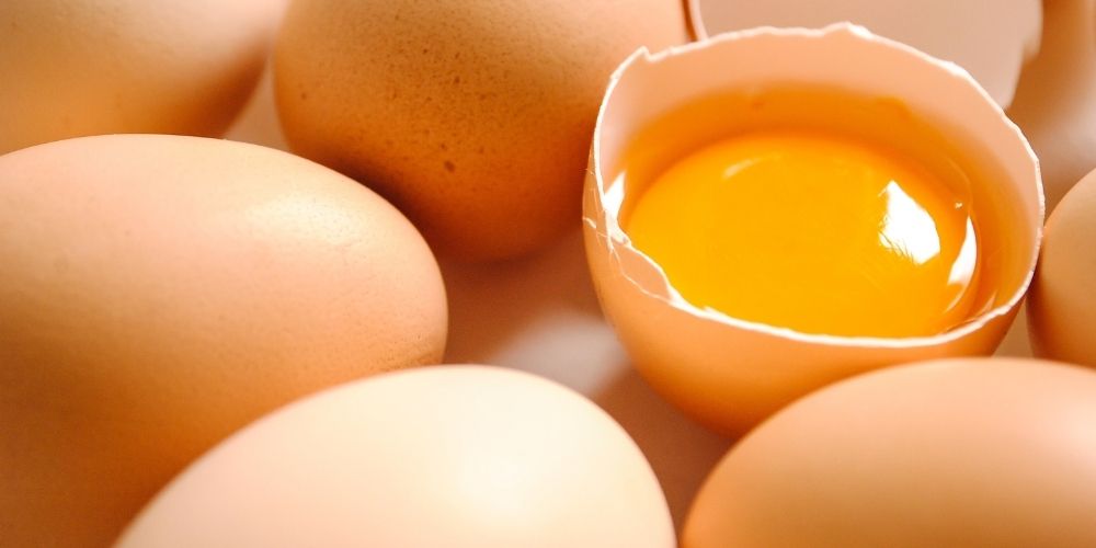 Žloutkovo-pivní maska Žloutkovo-pivní maska