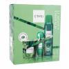C-THRU Luminous Emerald Ajándékcsomagok Eau de Toilette 30 ml + dezodor 150 ml + gyertya