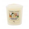 Yankee Candle Christmas Cookie Illatgyertya 49 g