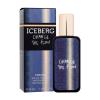 Iceberg Change The Flow Eau de Toilette férfiaknak 30 ml