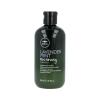 Paul Mitchell Lavender Mint Moisturizing Shampoo Sampon 300 ml