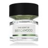 BMW The Scent of Bergamood Eau de Parfum 100 ml teszter