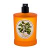 Monotheme Book of Citruses Zagara Eau de Toilette 100 ml teszter