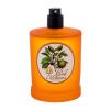 Monotheme Book of Citruses Verde d' Arancia Eau de Toilette 100 ml teszter