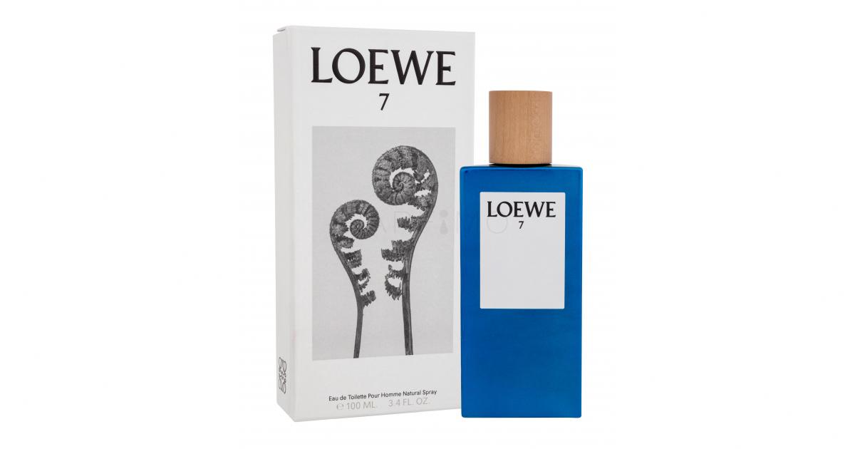 loewe no 7