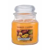 Yankee Candle Mango Peach Salsa Illatgyertya 411 g