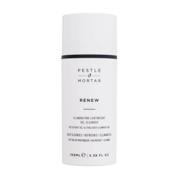 Pestle & Mortar Renew Illuminating Lightweight Gel Cleanser