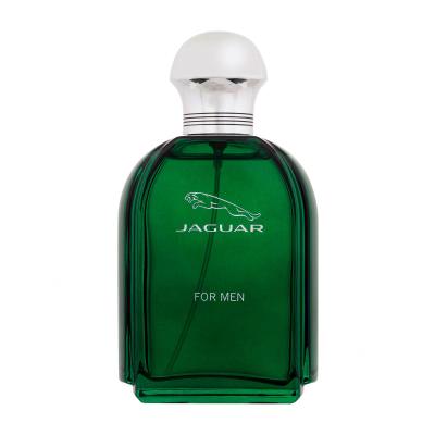 Jaguar Jaguar Eau de Toilette férfiaknak 100 ml