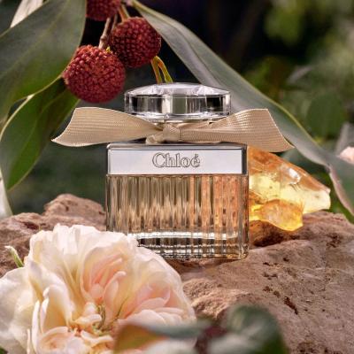 Chloé Chloé Eau de Parfum nőknek 100 ml