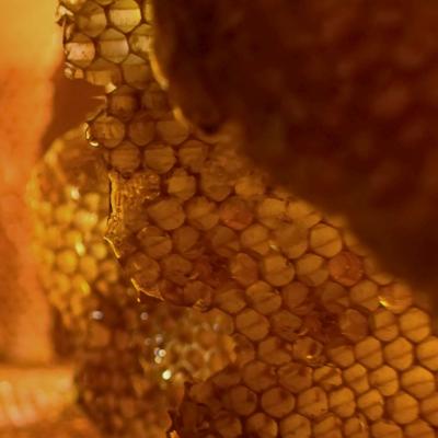 Garnier Botanic Therapy Honey Treasure Hair Remedy Hajpakolás nőknek 340 ml