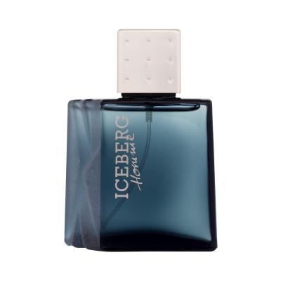 Iceberg Homme Eau de Toilette férfiaknak 50 ml