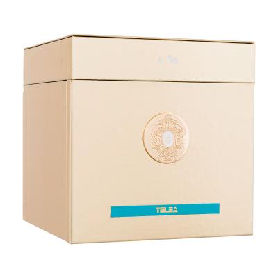 Tiziana Terenzi Telea Parfümkivonat 100 ml