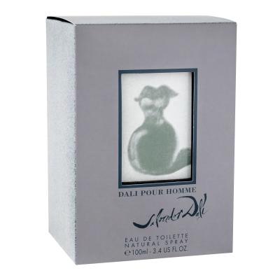 Salvador Dali Pour Homme Eau de Toilette férfiaknak 100 ml