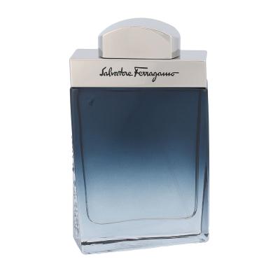 Ferragamo Subtil Pour Homme Eau de Toilette férfiaknak 50 ml