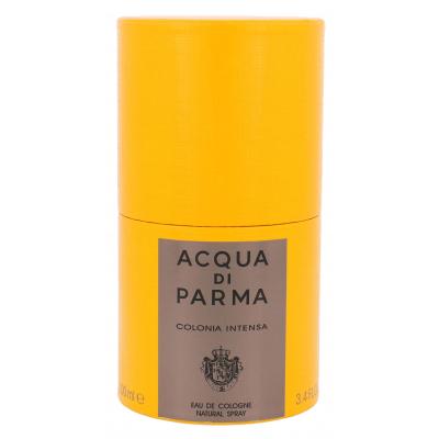 Acqua di Parma Colonia Intensa Eau de Cologne férfiaknak 100 ml