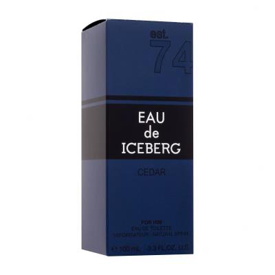 Iceberg Eau de Iceberg Cedar Eau de Toilette férfiaknak 100 ml