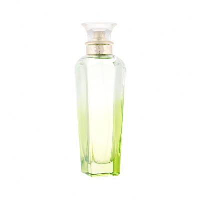 Adolfo Dominguez Agua Fresca de Azahar Eau de Toilette 120 ml