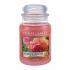 Yankee Candle Sun-Drenched Apricot Rose Illatgyertya 623 g
