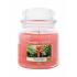 Yankee Candle The Last Paradise Illatgyertya 411 g