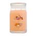 Yankee Candle Signature Mango Ice Cream Illatgyertya 567 g