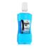 Zidac Laboratories Absolute Ice Coolmint Mouthwash Szájvíz 500 ml