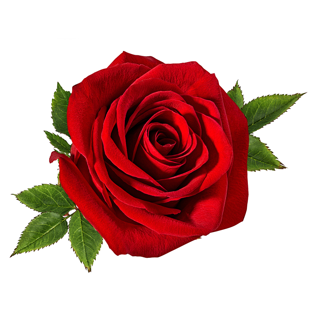 RÓZSA MINT ILLATÖSSZETEVŐ